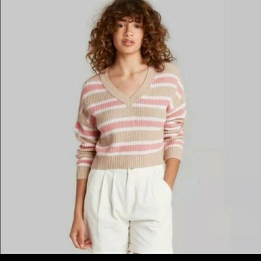 NWT Wild Fable V Neck Oatmeal and Pink Striped Sweater